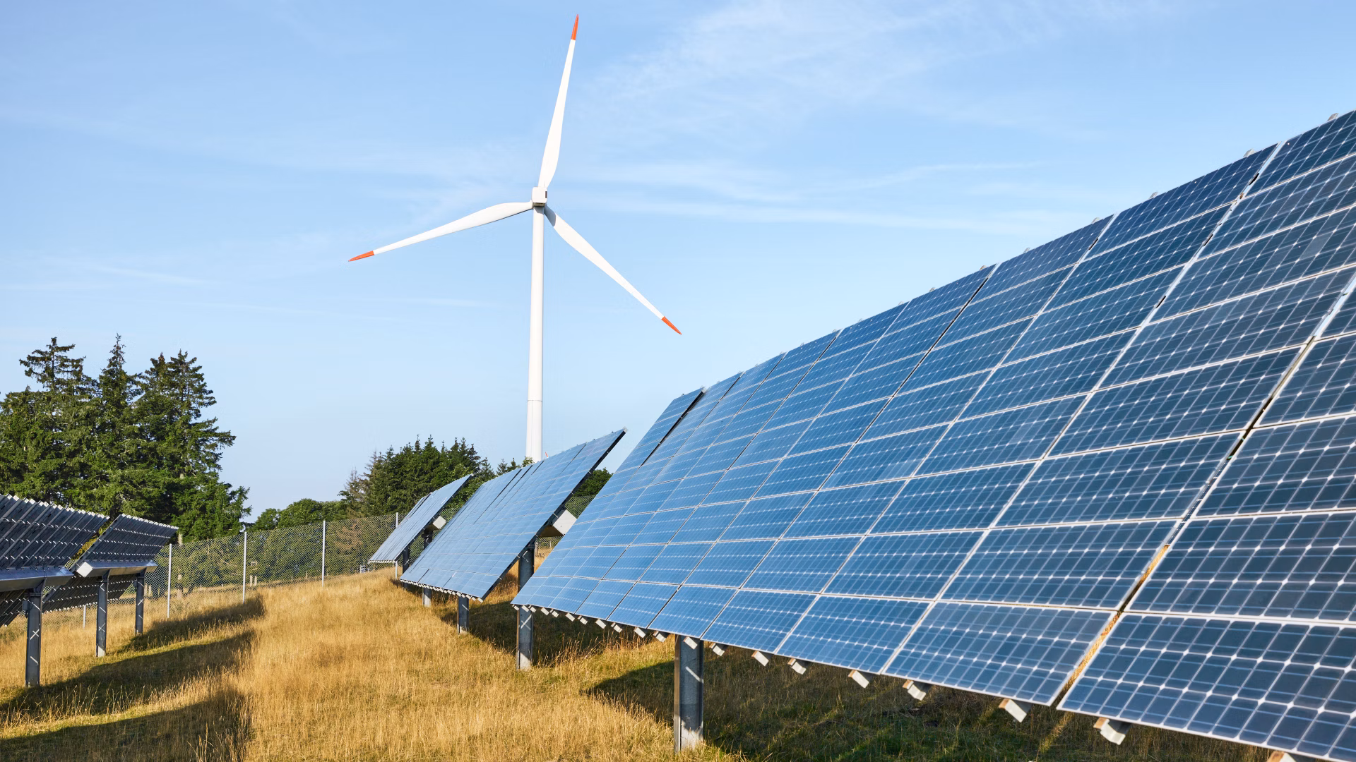 Solar panels in a meadow with a wind turbine in the background