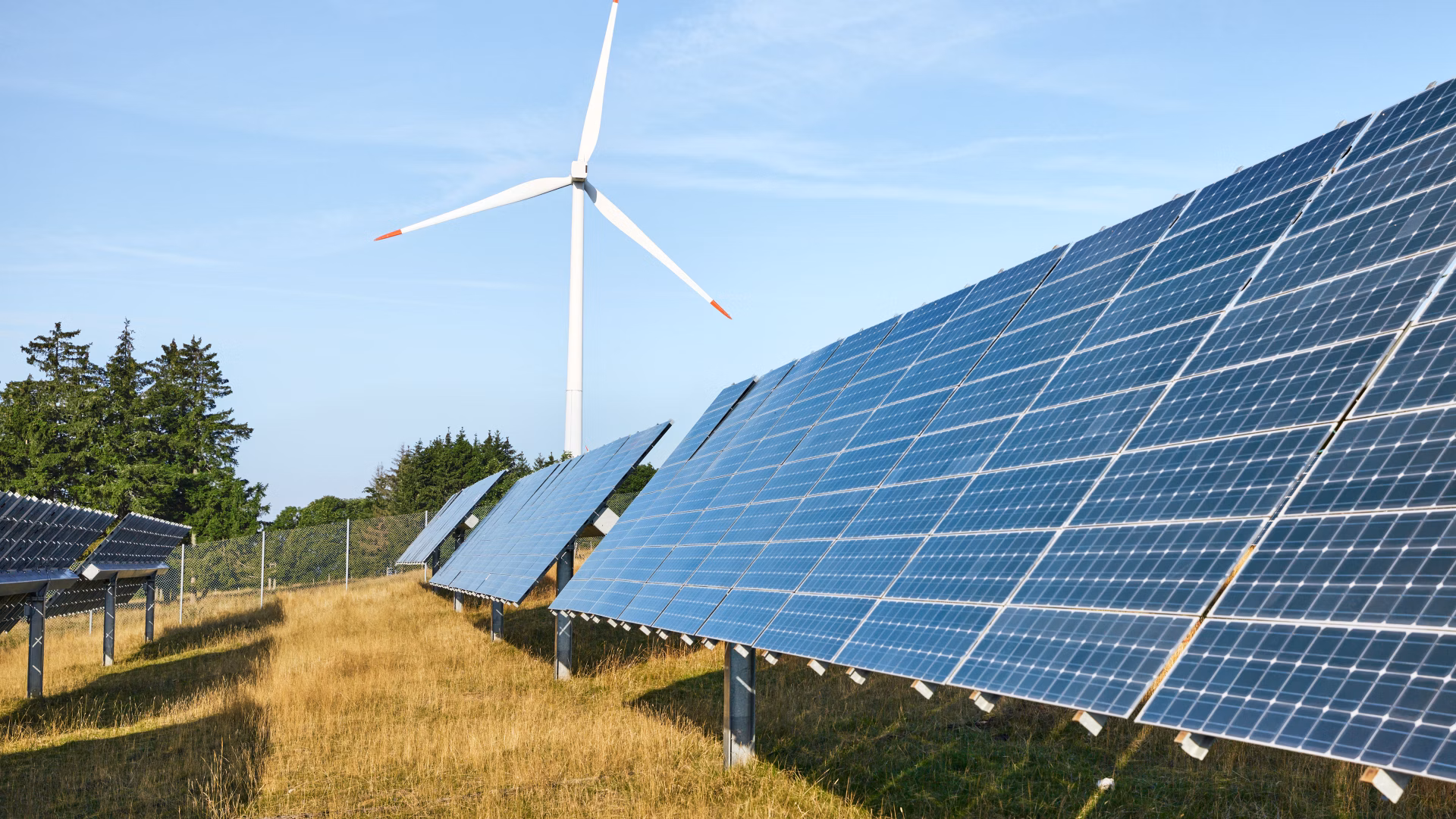Moduli solari su un prato con una turbina eolica sullo sfondo